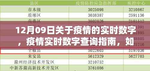 新闻中心 第240页