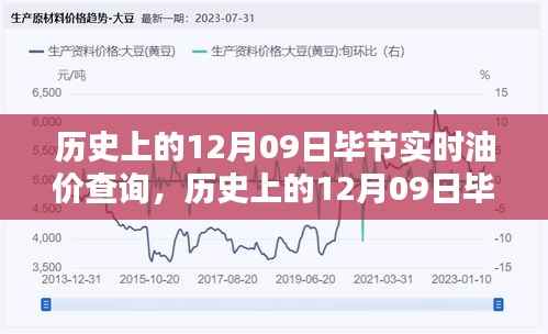 历史上的12月09日毕节实时油价查询全攻略，初学者与进阶用户适用