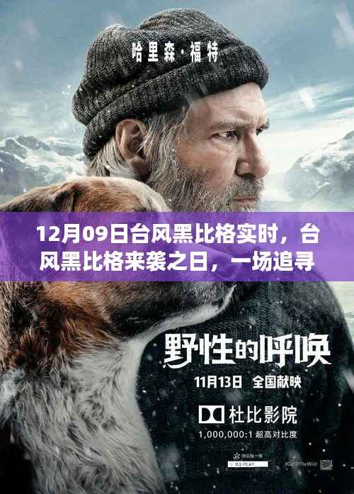 台风黑比格来袭,追寻自然宁静的奇妙旅程纪实报道