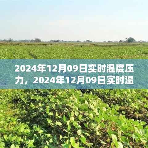2024年12月09日实时温度压力分析与应对策略