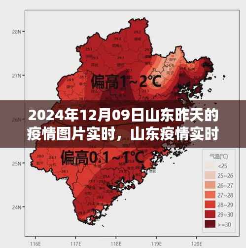 山东疫情实时动态与产品深度评测介绍——2024年12月09日报告