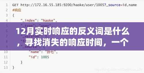 12月寻找消失的响应时间,友情与陪伴的温馨故事之旅