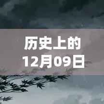 一言九鼎 第2页