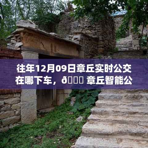 章丘智能公交导航，一键下车重塑生活，历年12月09日实时公交路线详解