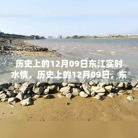 高抬贵手 第2页