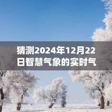 智慧气象的奇妙之旅,冬至气温预测与温馨体验