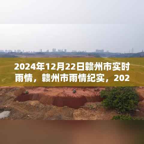 赣州市冬至之日的雨情纪实，雨幕下的回响与实时雨情报告