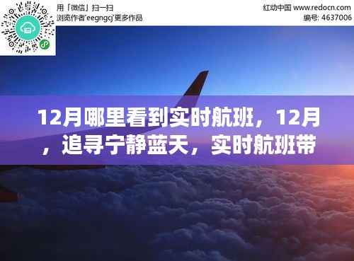 12月宁静蓝天之旅,实时航班领略自然美景诗意之旅