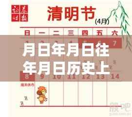 实时排行软件评测,月基金估值与历史上的基金表现深度解析