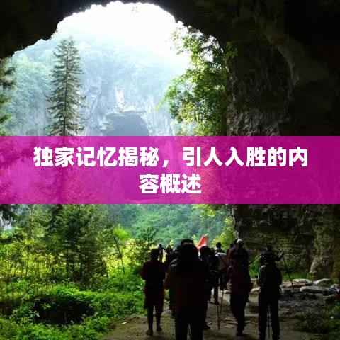 独家记忆揭秘,引人入胜的内容概述