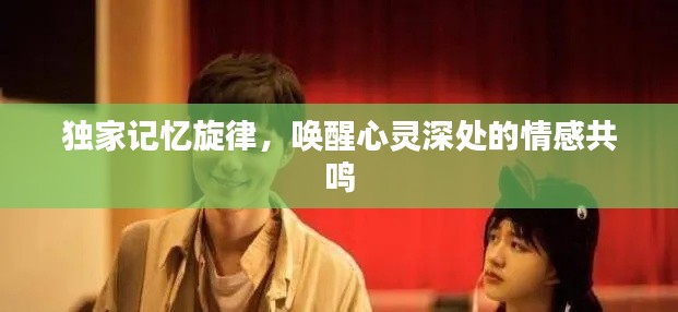 独家记忆旋律,唤醒心灵深处的情感共鸣