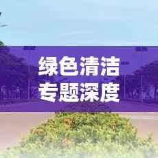 绿色清洁专题深度解析,环保清洁方法与实用技巧分享