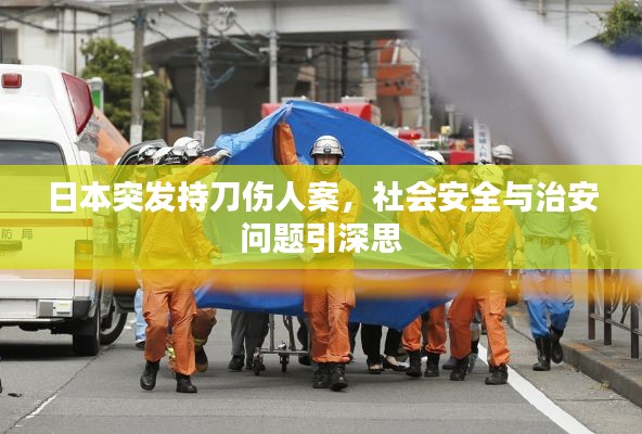 日本突发持刀伤人案,社会安全与治安问题引深思