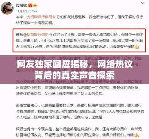 网友独家回应揭秘,网络热议背后的真实声音探索