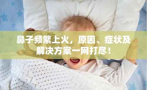 质而不俚 第3页