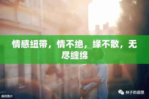 情感纽带,情不绝,缘不散,无尽缠绵