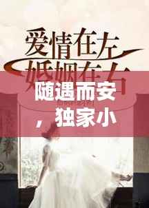 随遇而安,独家小说,情感波折引关注