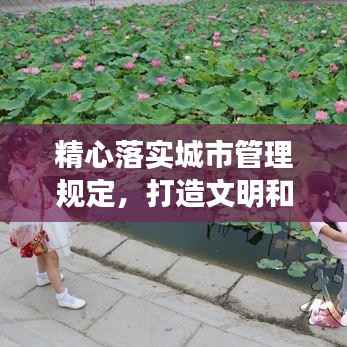 精心落实城市管理规定,打造文明和谐宜居城市