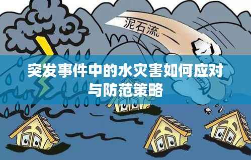 突发事件中的水灾害如何应对与防范策略