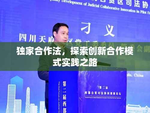 独家合作法,探索创新合作模式实践之路