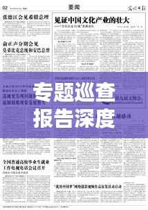 专题巡查报告深度解析,发现问题与解决方案的综合呈现