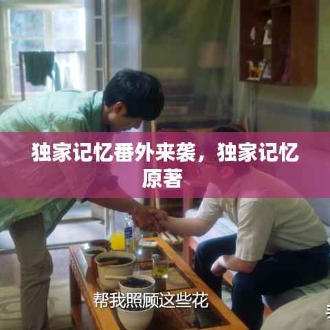 独家记忆番外来袭,独家记忆原著