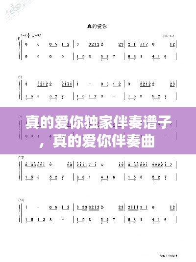 真的爱你独家伴奏谱子,真的爱你伴奏曲