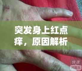 堂堂正正 第2页
