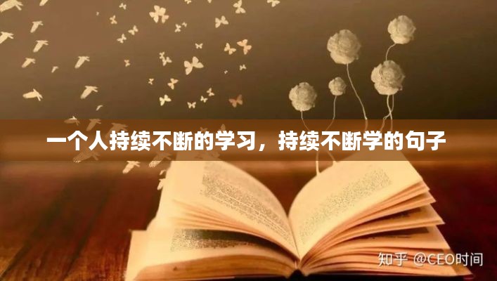 一个人持续不断的学习,持续不断学的句子