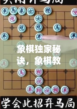 象棋独家秘诀,象棋教程高手