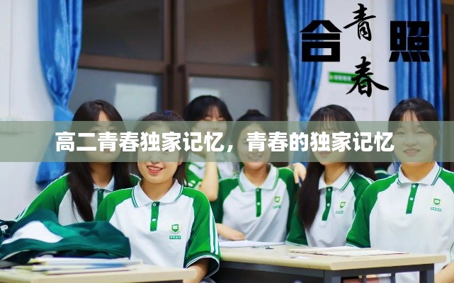 高二青春独家记忆,青春的独家记忆