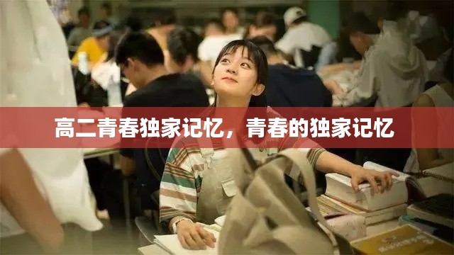 高二青春独家记忆,青春的独家记忆
