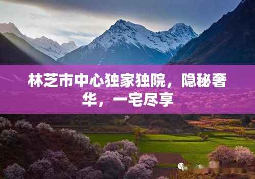 林芝市中心独家独院,隐秘奢华,一宅尽享