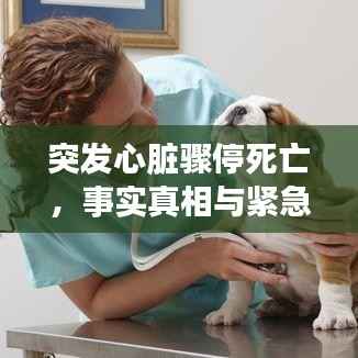 突发心脏骤停死亡,事实真相与紧急应对措施解析