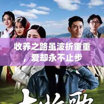 收养之路虽波折重重,爱却永不止步