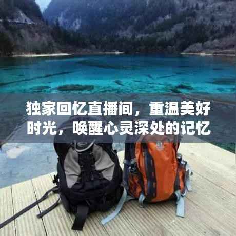 独家回忆直播间,重温美好时光,唤醒心灵深处的记忆珍藏