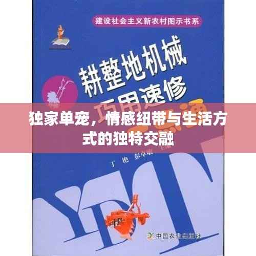 独家单宠,情感纽带与生活方式的独特交融