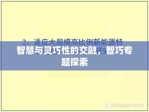 智慧与灵巧性的交融，智巧专题探索