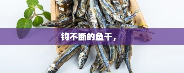钧不断的鱼干,