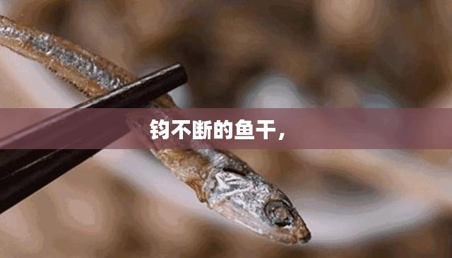 钧不断的鱼干,