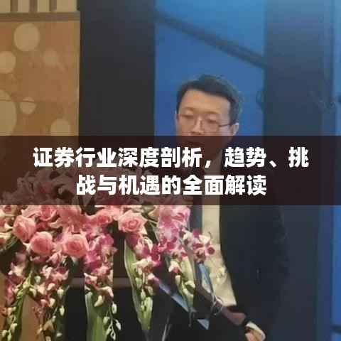 证券行业深度剖析，趋势、挑战与机遇的全面解读