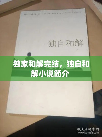 独家和解完结,独自和解小说简介