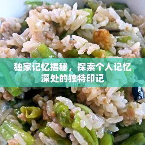 独家记忆揭秘,探索个人记忆深处的独特印记
