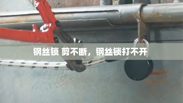 钢丝锁 剪不断,钢丝锁打不开