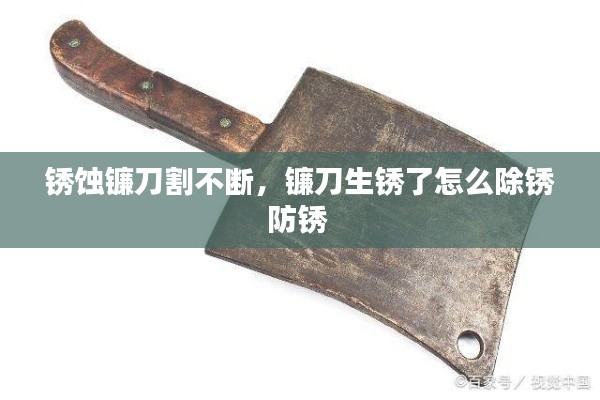 锈蚀镰刀割不断,镰刀生锈了怎么除锈防锈