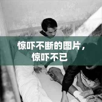 惊吓不断的图片，惊吓不已 