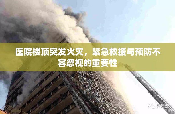 七贵三公 第2页