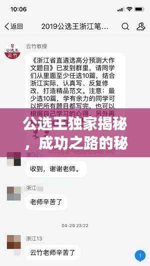公选王独家揭秘,成功之路的秘密武器全解析