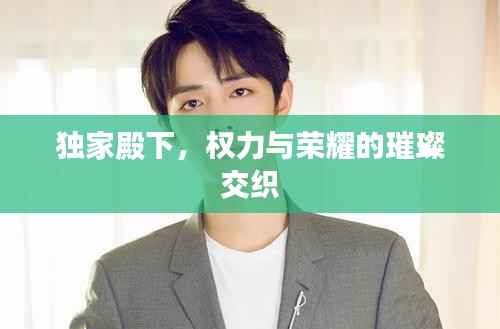 独家殿下,权力与荣耀的璀璨交织