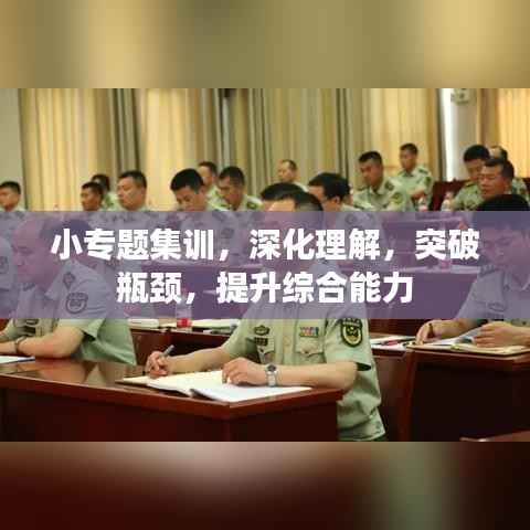 小专题集训,深化理解,突破瓶颈,提升综合能力